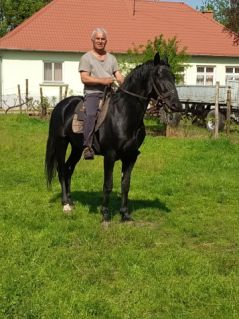 Elad� 5 �ves n�niusz m�n 