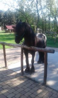 16 �ves fr�z m�n 
