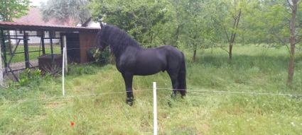 16 �ves fr�z m�n 