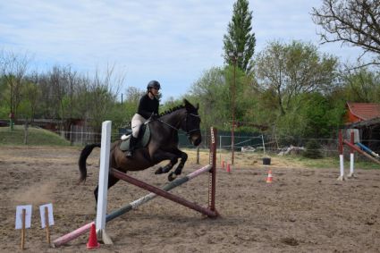 Elad� 15 �ves �get� her�lt 