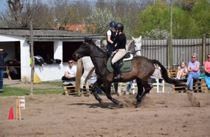 Elad� 15 �ves �get� her�lt 