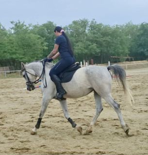 Elad� 6 �ves arab kanca 