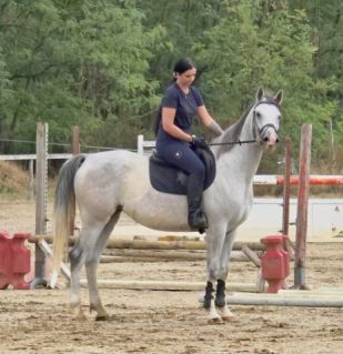 Elad� 6 �ves arab kanca 
