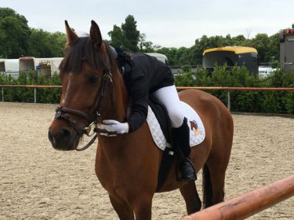 Elad� 9 �ves welsh p�ni m�n 