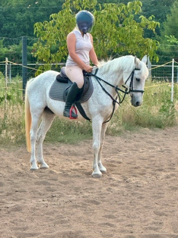 Elad� 14 �ves sportp�ni her�lt 