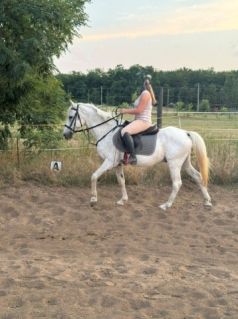 Elad� 14 �ves sportp�ni her�lt 