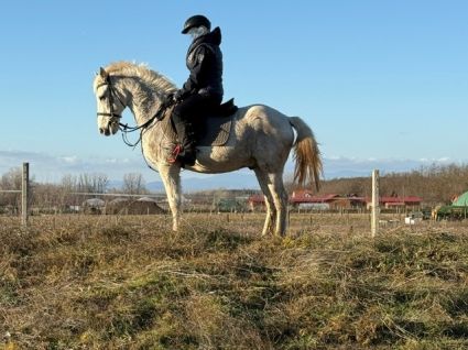 Elad� 14 �ves sportp�ni her�lt 