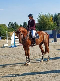 Elad� 14 �ves magyar sportf�lv�r her�lt 