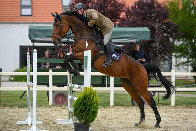 sportló/kanca-(2019)